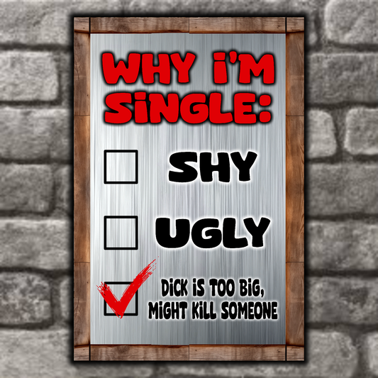 accessories 12 inch x 8 inch ~ MEDIUM ~ $20.95 Why I'm Single: Shy, Ugly, Too Big ! Why I'm Single: Shy, Ugly, Too Big ! GiftsByJeff Gifts By Jeff Pittsburgh PA