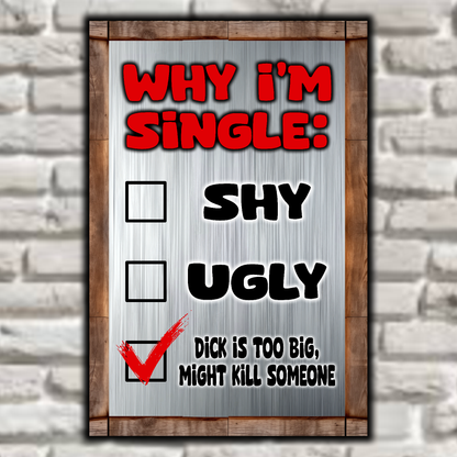 accessories 9 inch x 6 inch ~ SMALL ~ $15.95 Why I'm Single: Shy, Ugly, Too Big ! Why I'm Single: Shy, Ugly, Too Big ! GiftsByJeff Gifts By Jeff Pittsburgh PA